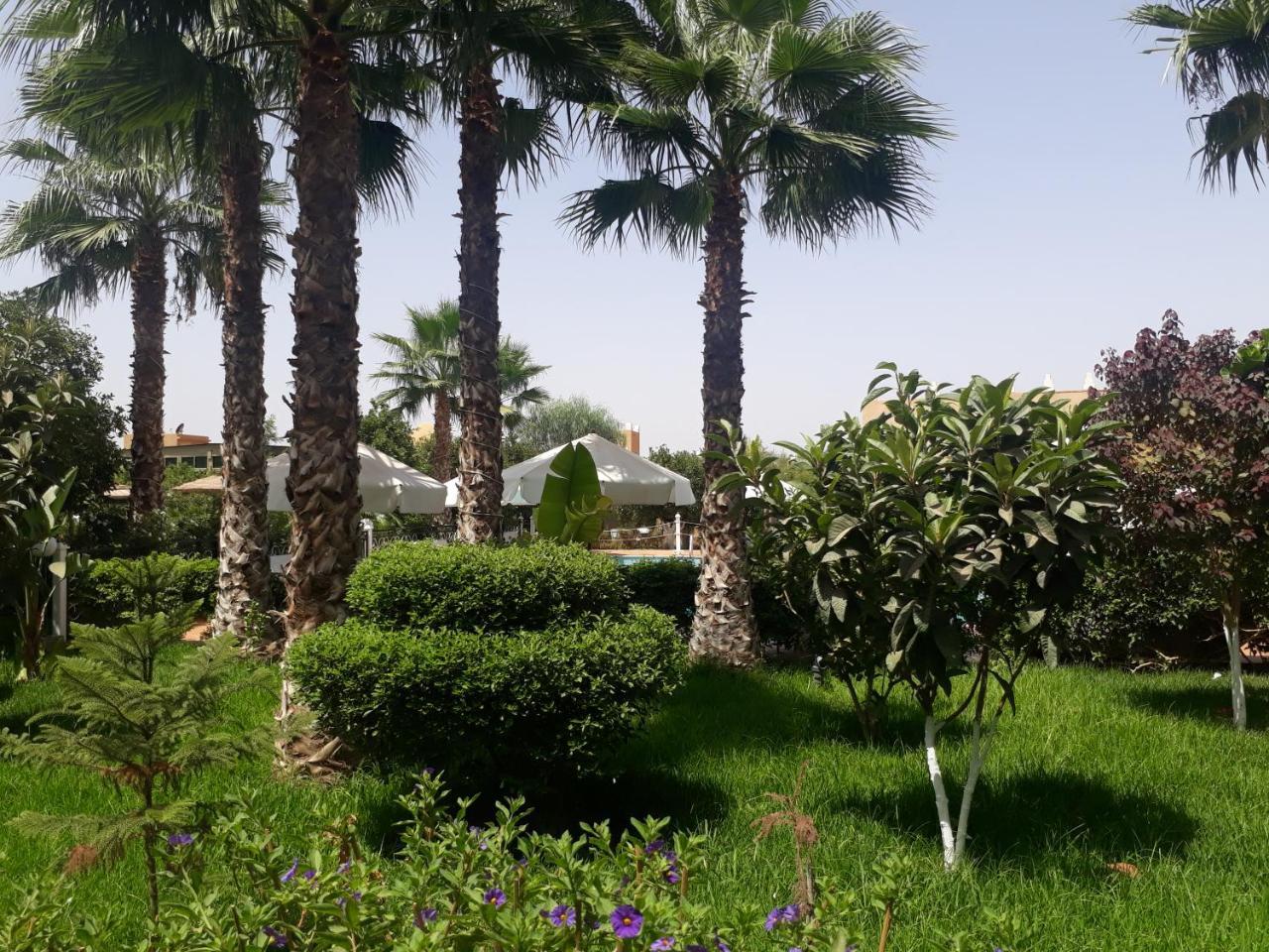 טרודאנט Almounia Hotel & Spa מראה חיצוני תמונה