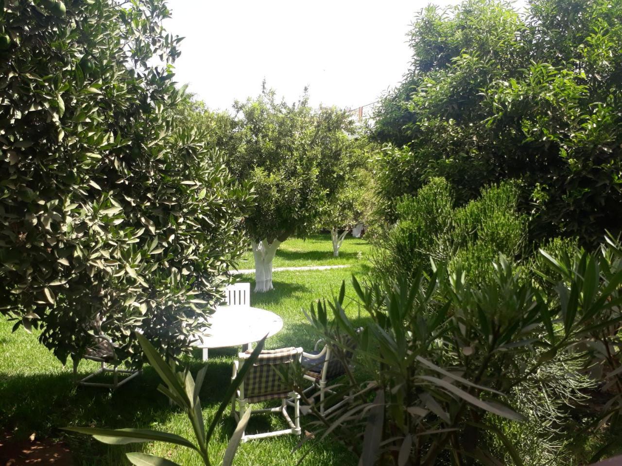 טרודאנט Almounia Hotel & Spa מראה חיצוני תמונה