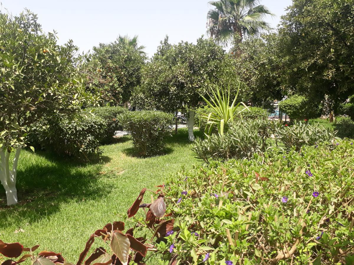 טרודאנט Almounia Hotel & Spa מראה חיצוני תמונה